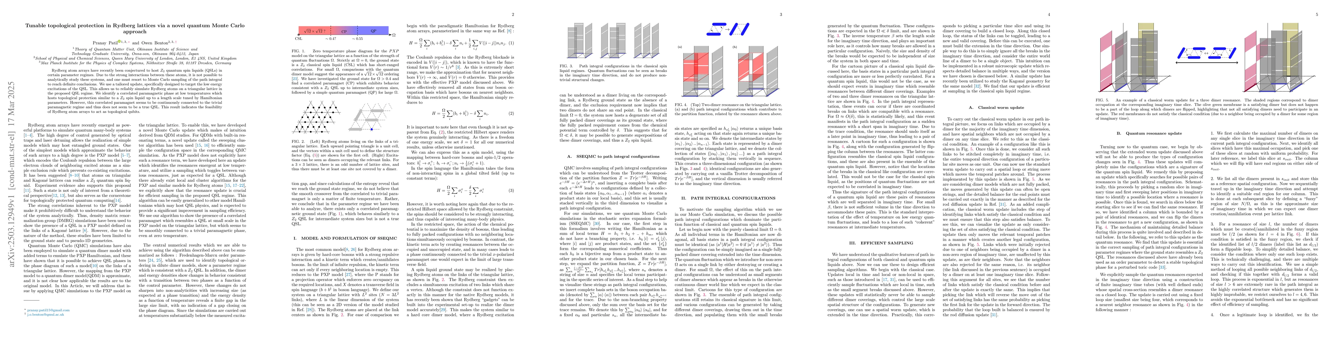 Thumbnail for Tunable topological protection in Rydberg lattices via a novel quantum
  Monte Carlo approach