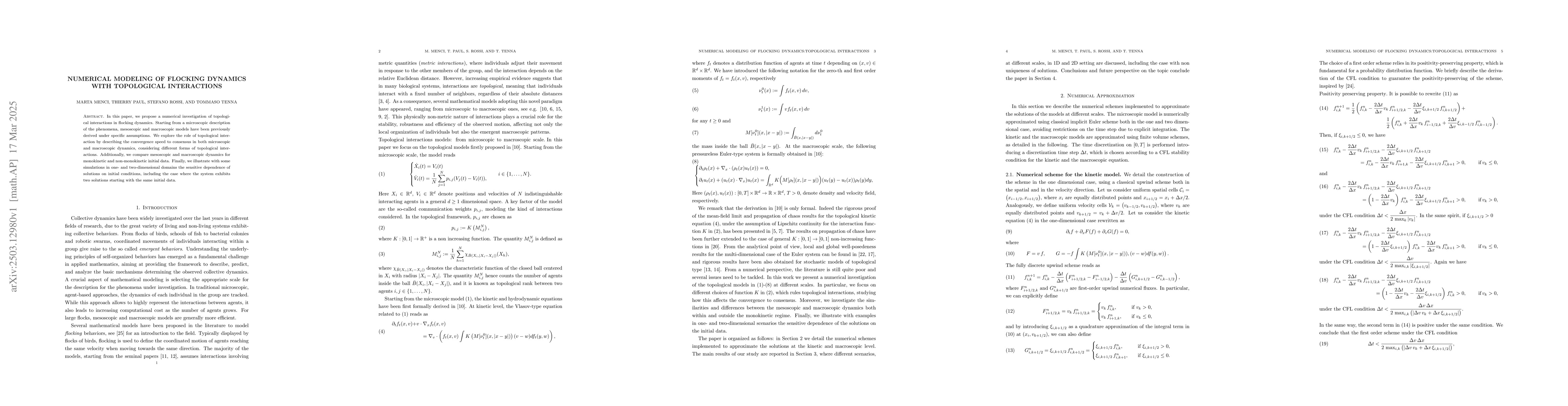 Thumbnail for Numerical modeling of flocking dynamics with topological interactions