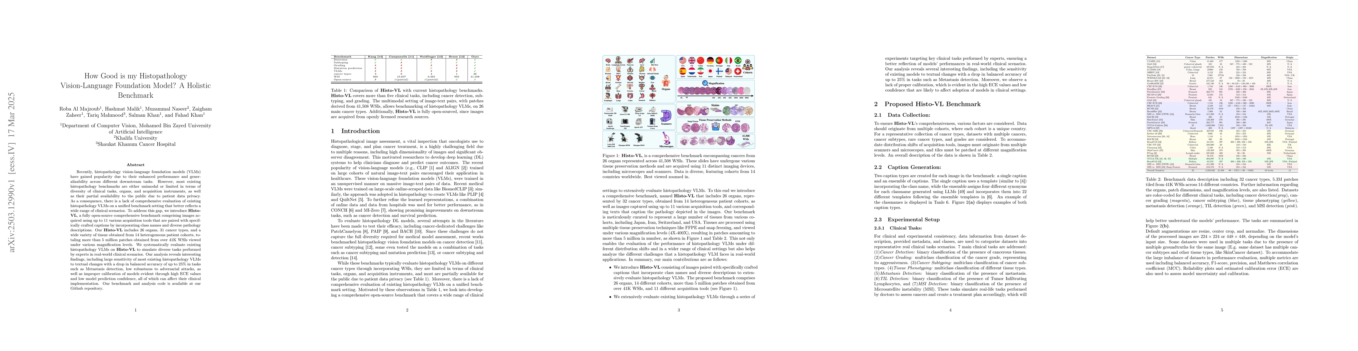 Thumbnail for How Good is my Histopathology Vision-Language Foundation Model? A
  Holistic Benchmark