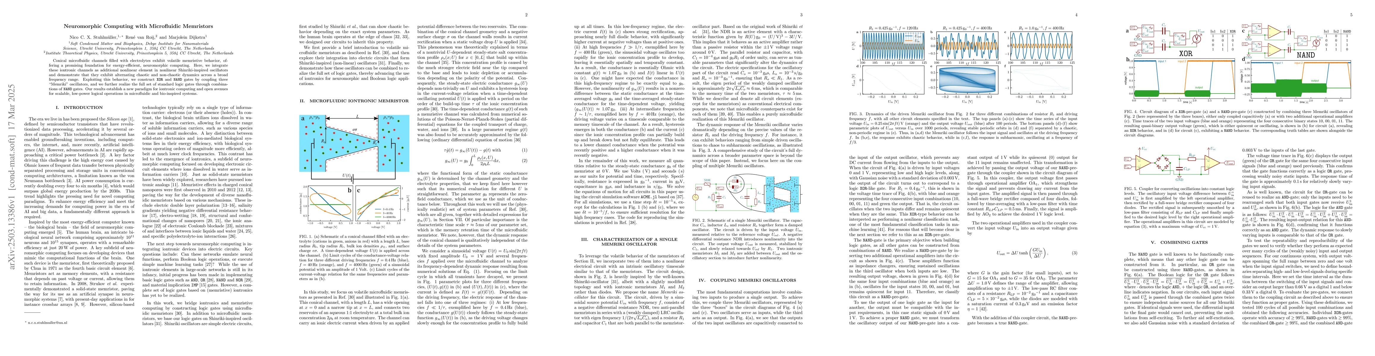 Thumbnail for Neuromorphic Computing with Microfluidic Memristors
