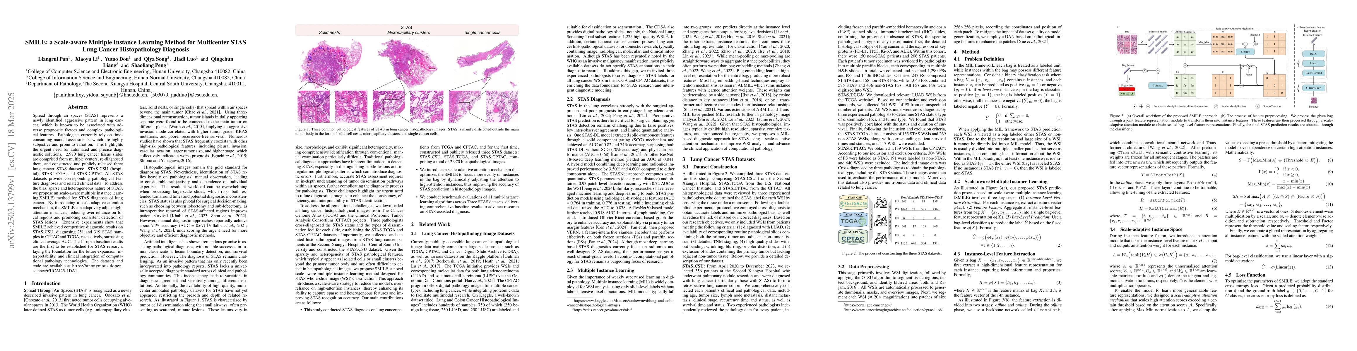 Thumbnail for SMILE: a Scale-aware Multiple Instance Learning Method for Multicenter
  STAS Lung Cancer Histopathology Diagnosis