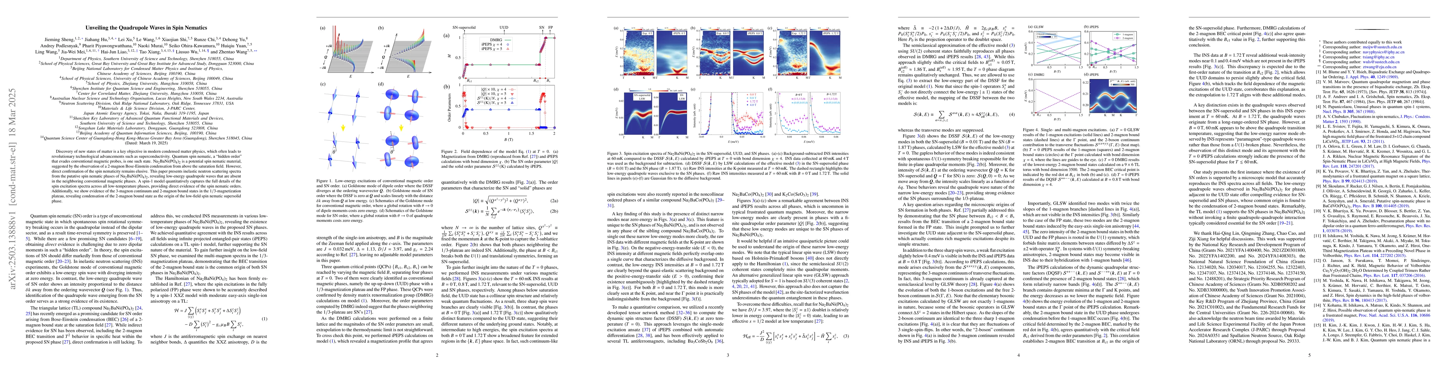 Thumbnail for Unveiling the Quadrupole Waves in Spin Nematics