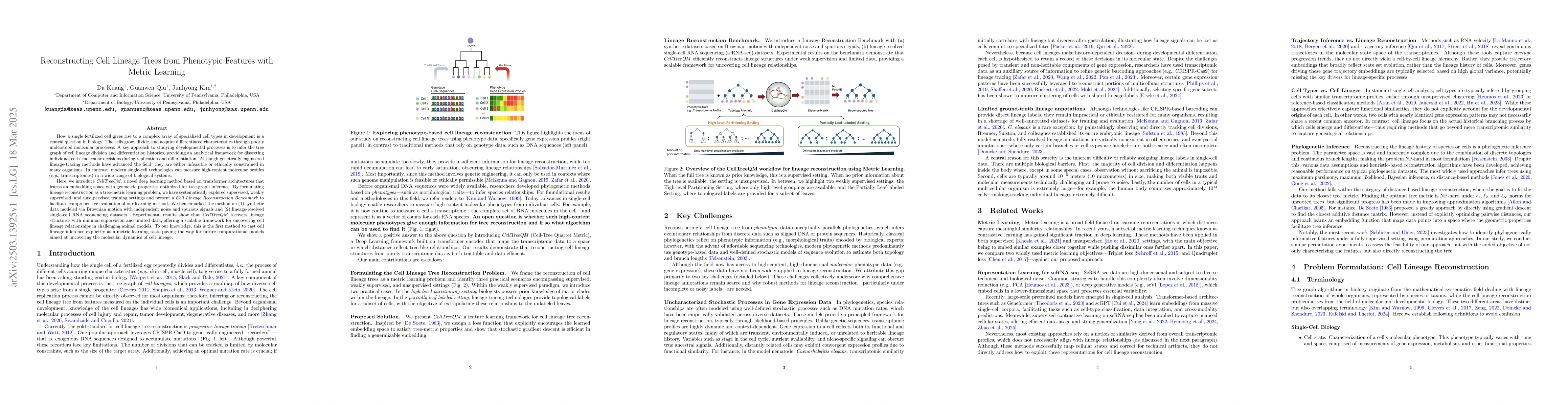 Thumbnail for Reconstructing Cell Lineage Trees from Phenotypic Features with Metric
  Learning