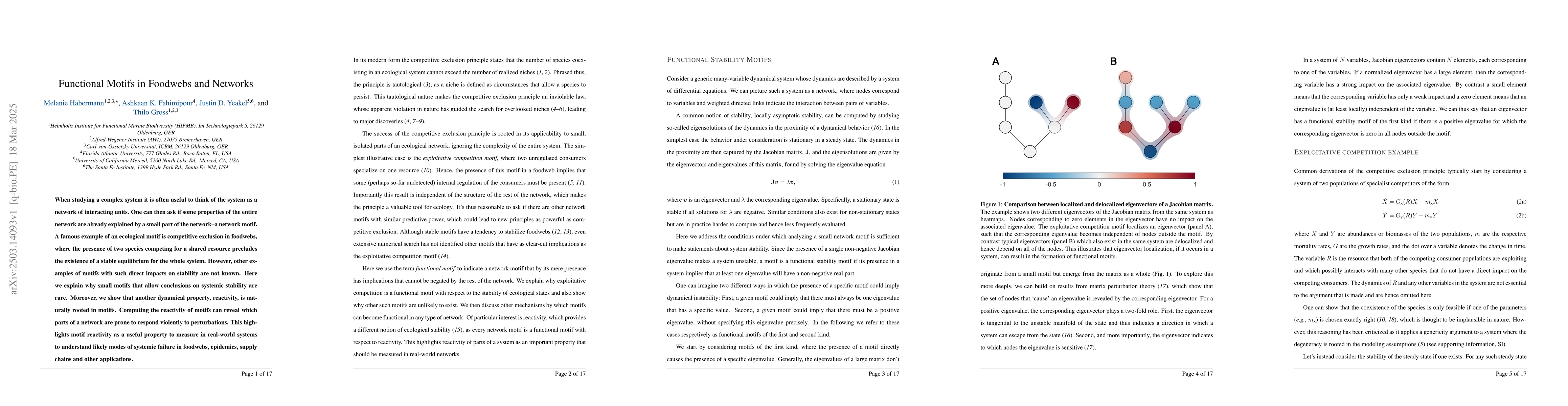 Thumbnail for Functional Motifs in Foodwebs and Networks