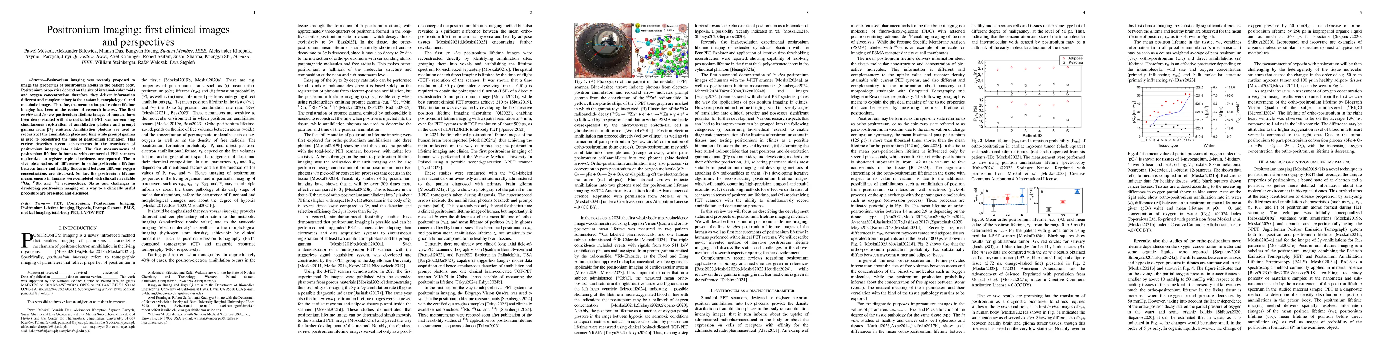 Thumbnail for Positronium Imaging: first clinical images and perspectives