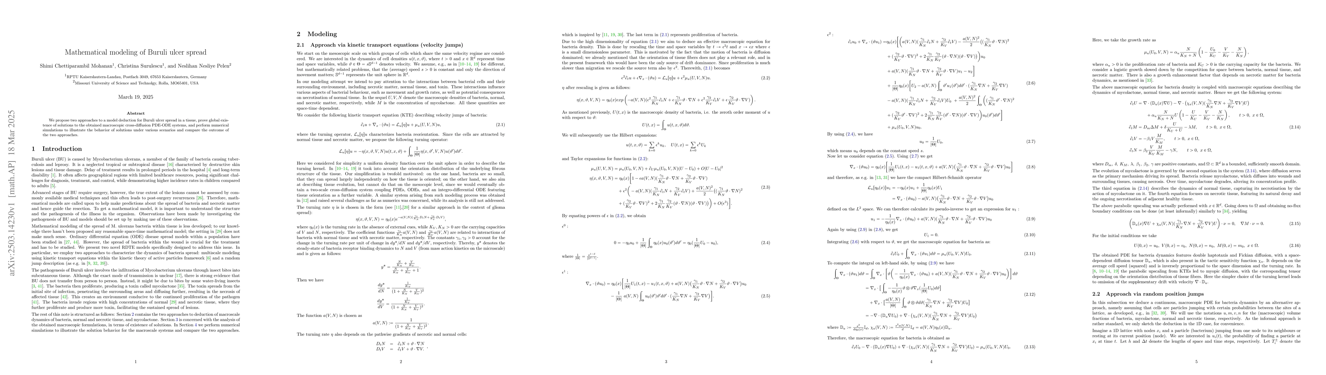 Thumbnail for Mathematical modeling of Buruli ulcer spread