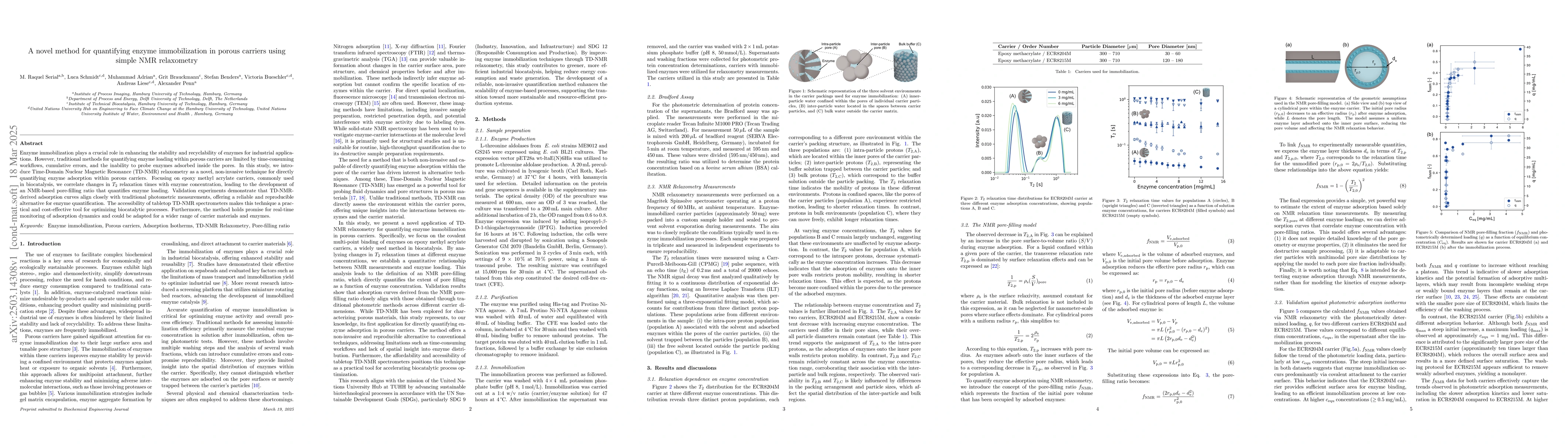 Thumbnail for A novel method for quantifying enzyme immobilization in porous carriers
  using simple NMR relaxometry