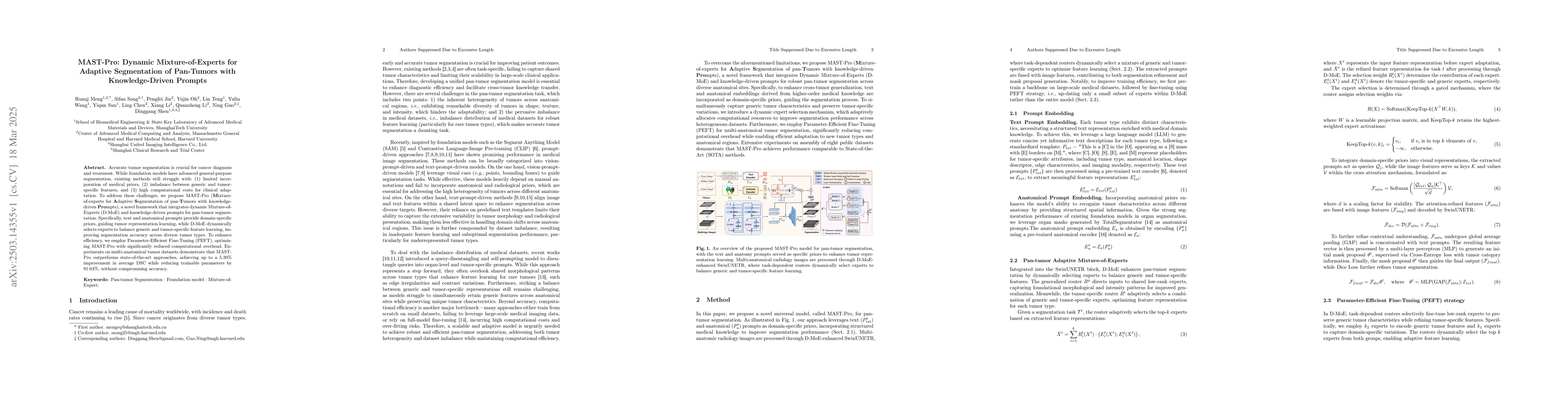Thumbnail for MAST-Pro: Dynamic Mixture-of-Experts for Adaptive Segmentation of
  Pan-Tumors with Knowledge-Driven Prompts