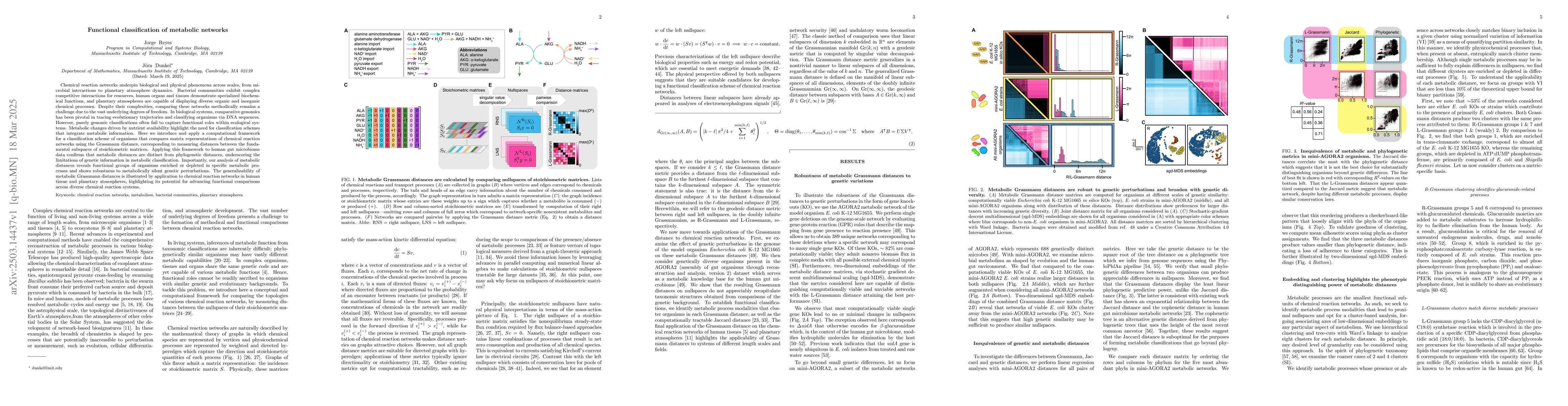 Thumbnail for Functional classification of metabolic networks