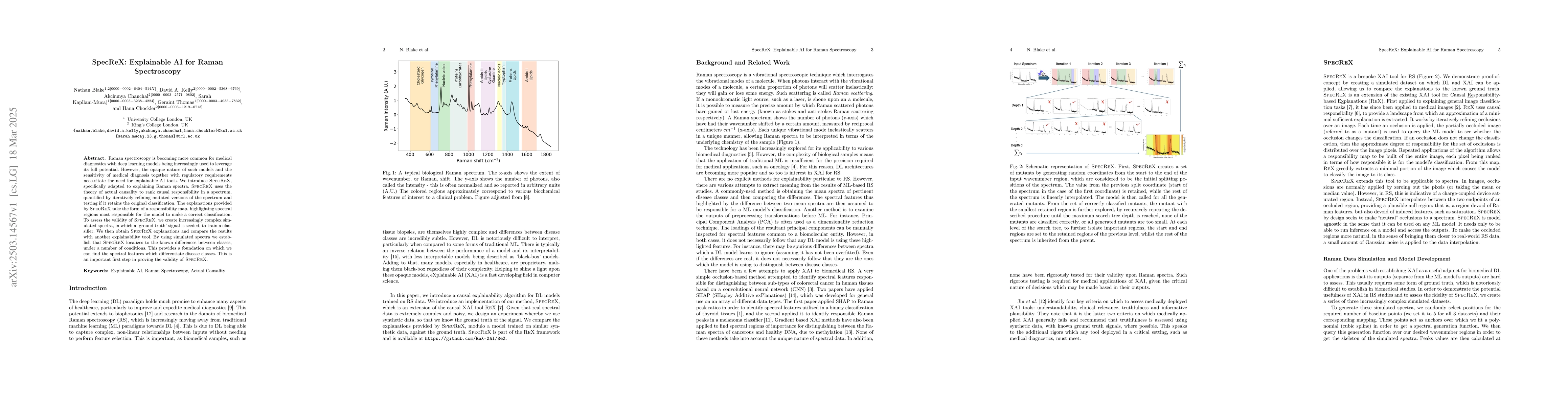 Thumbnail for SpecReX: Explainable AI for Raman Spectroscopy