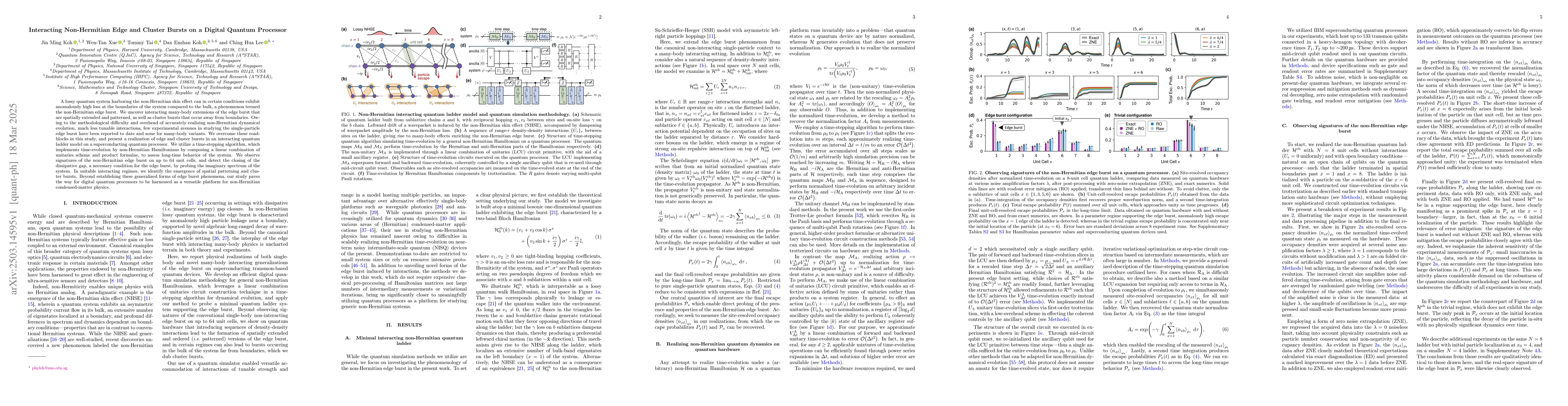 Thumbnail for Interacting non-Hermitian edge and cluster bursts on a digital quantum
  processor