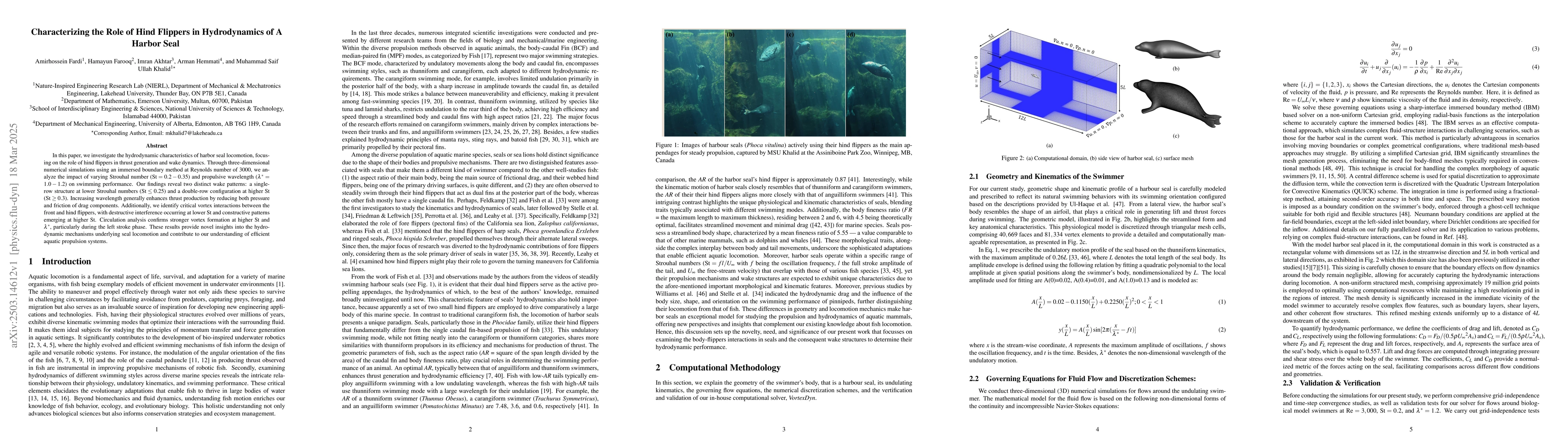 Thumbnail for Characterizing the Role of Hind Flippers in Hydrodynamics of A Harbor
  Seal