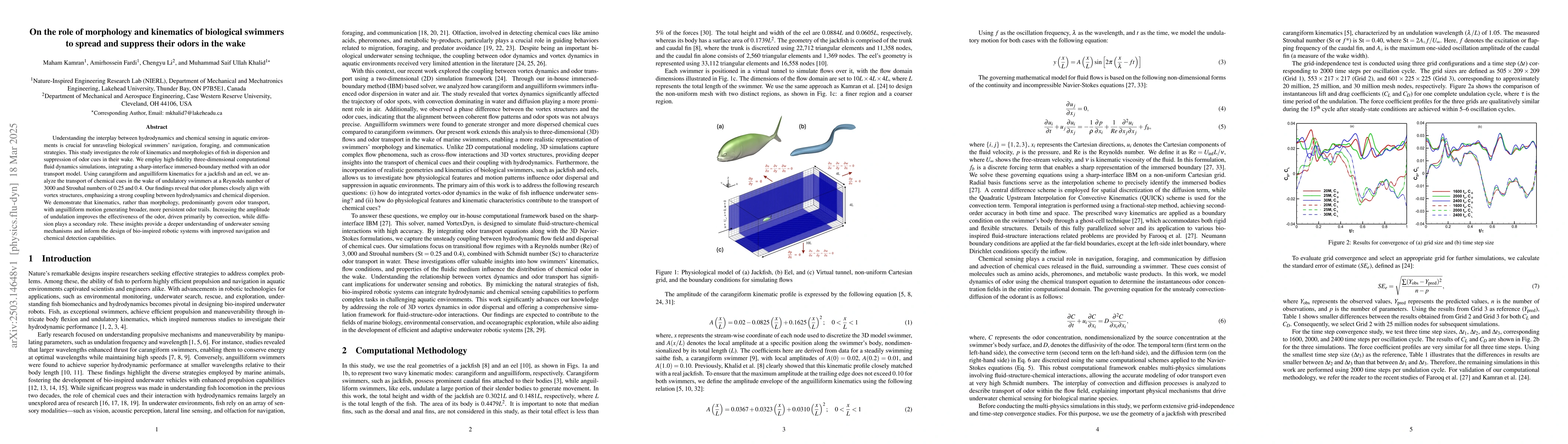 Thumbnail for On the role of morphology and kinematics of biological swimmers to
  spread and suppress their odors in the wake