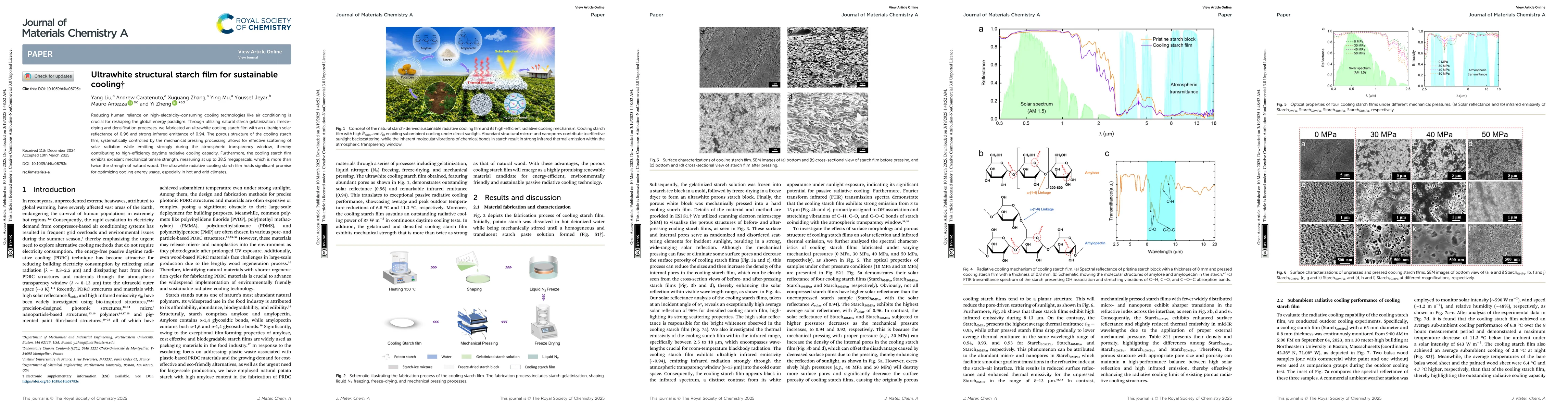Thumbnail for Ultrawhite structural starch film for sustainable cooling