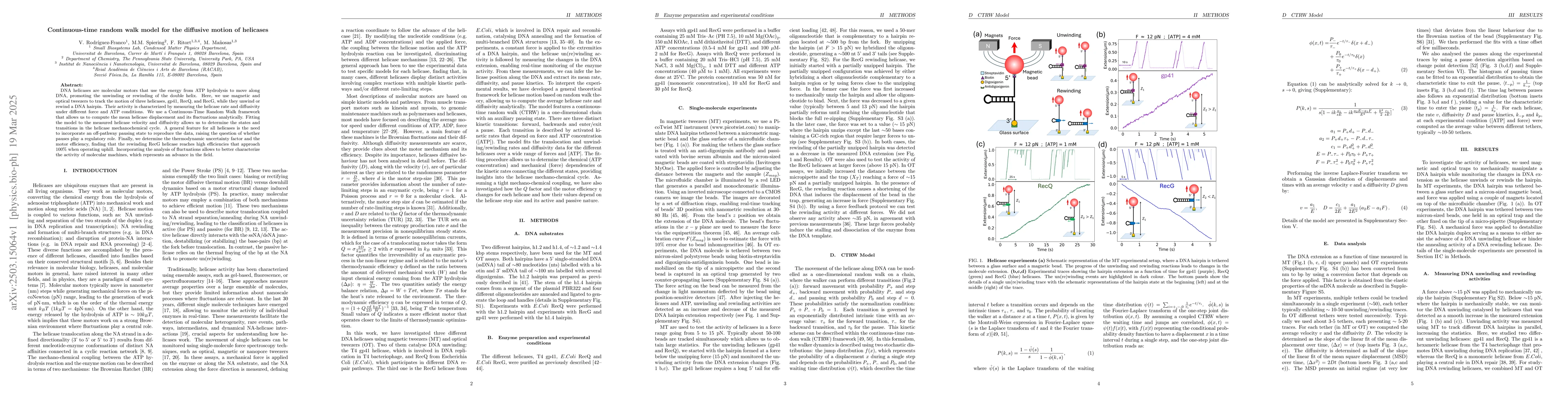 Thumbnail for Continuous-time random walk model for the diffusive motion of helicases