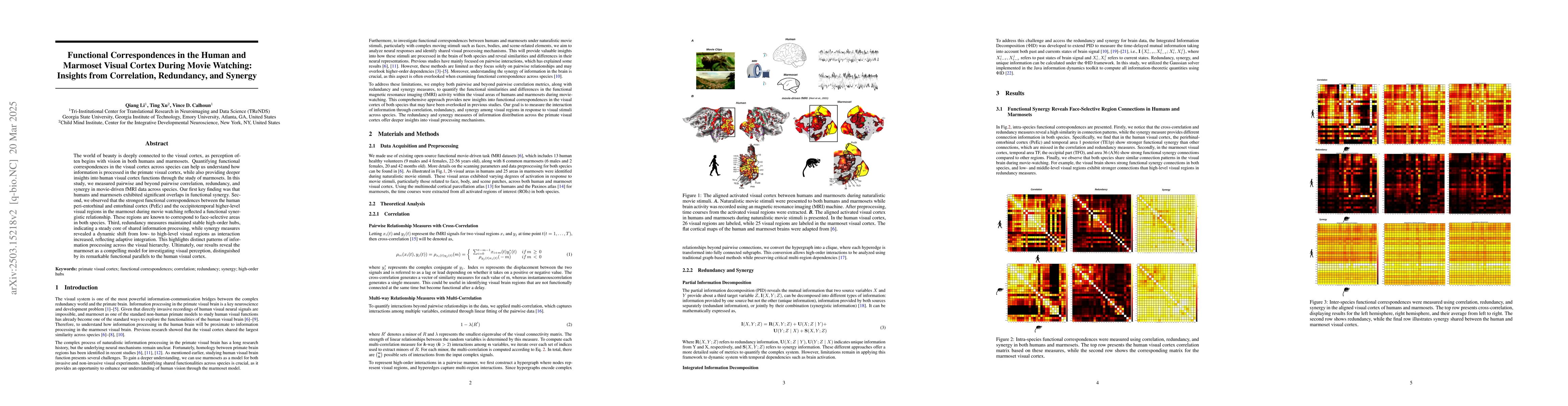 Thumbnail for Functional Correspondences in the Human and Marmoset Visual Cortex
  During Movie Watching: Insights from Correlation, Redundancy, and Synergy