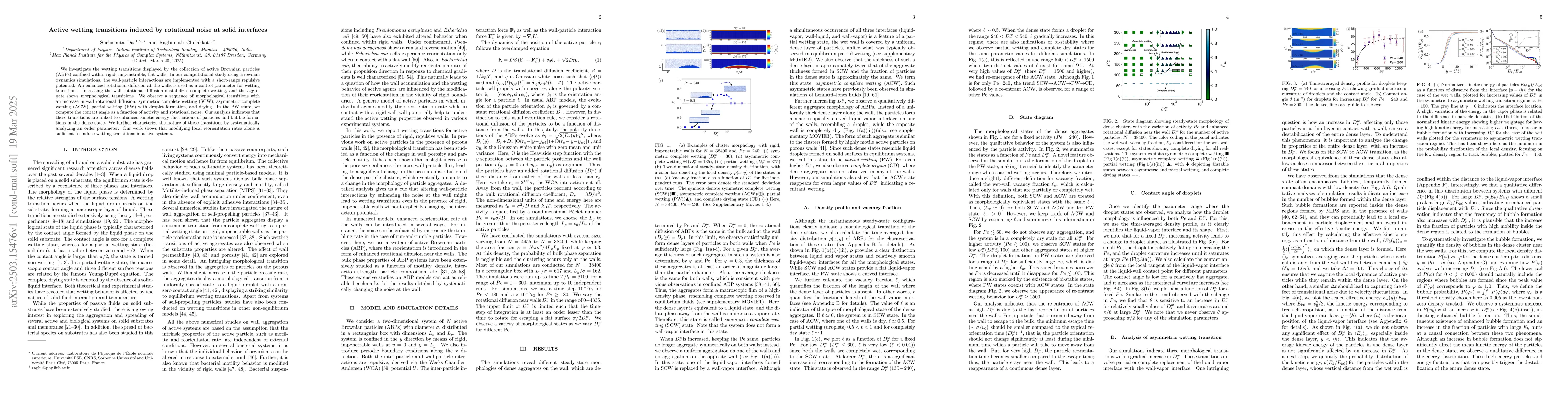 Thumbnail for Active wetting transitions induced by rotational noise at solid
  interfaces