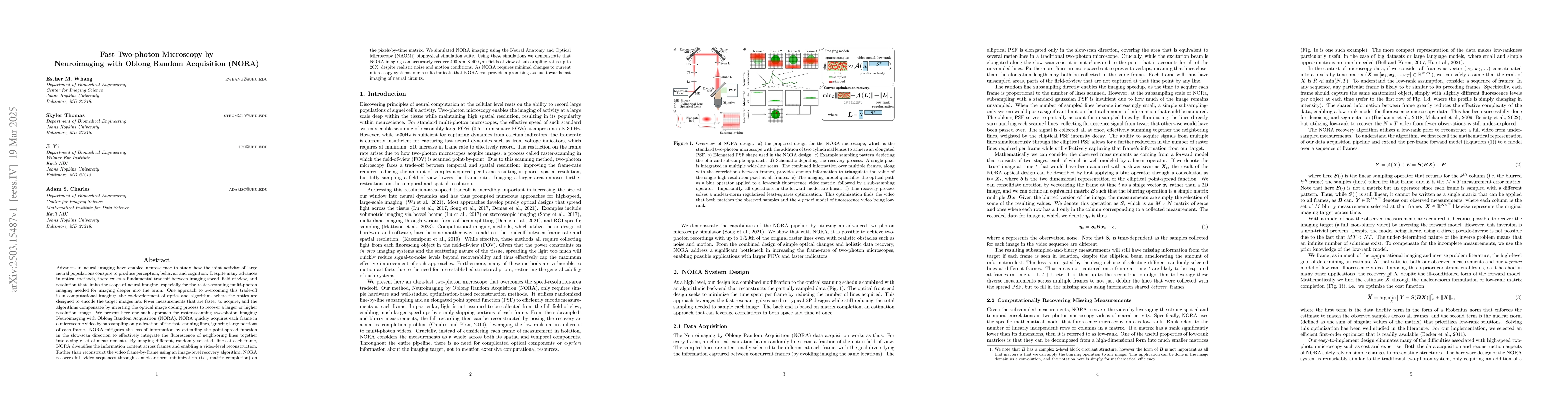 Thumbnail for Fast Two-photon Microscopy by Neuroimaging with Oblong Random
  Acquisition (NORA)