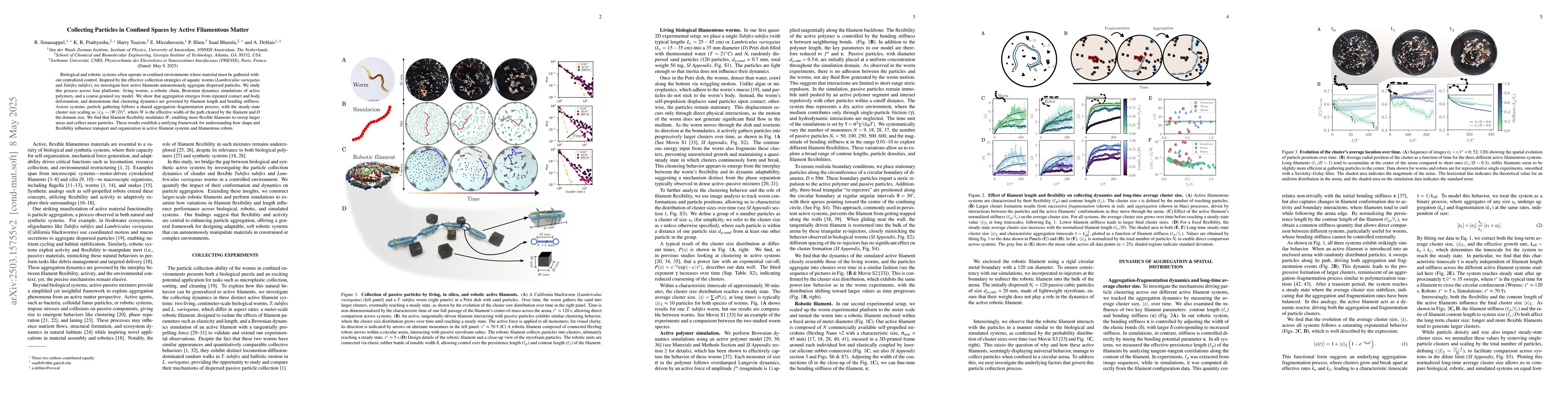 Thumbnail for Collecting Particles in Confined Spaces by Active Filamentous Matter