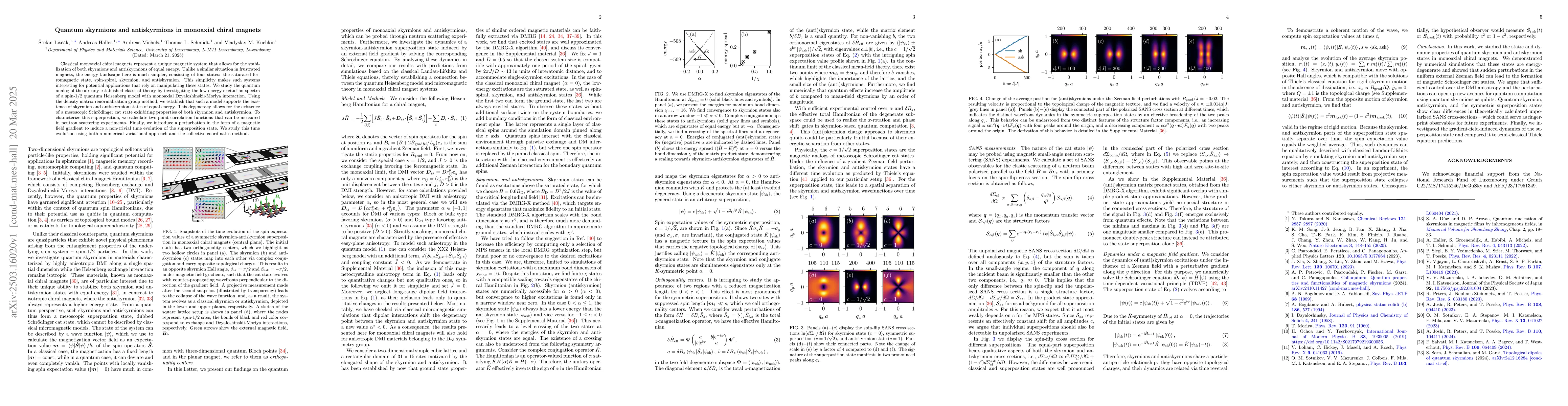 Thumbnail for Quantum skyrmions and antiskyrmions in monoaxial chiral magnets