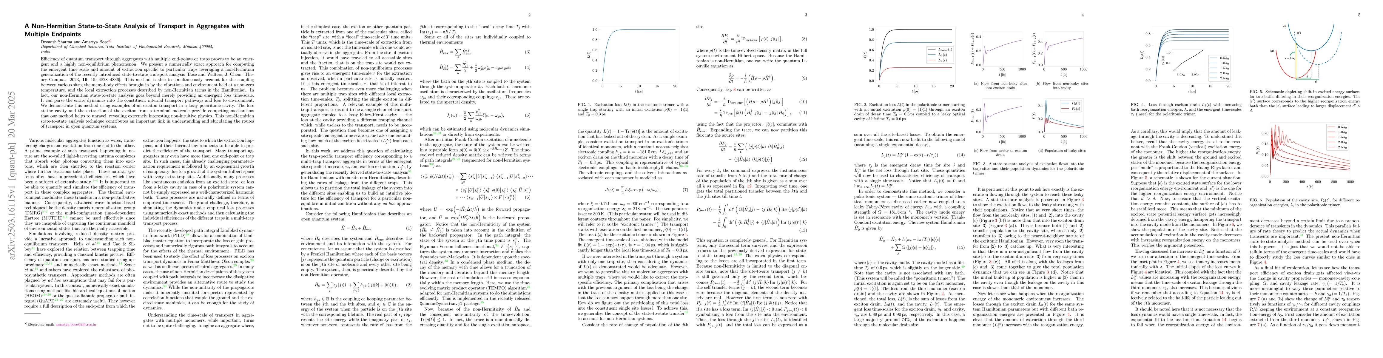 Thumbnail for A Non-Hermitian State-to-State Analysis of Transport in Aggregates with
  Multiple Endpoints