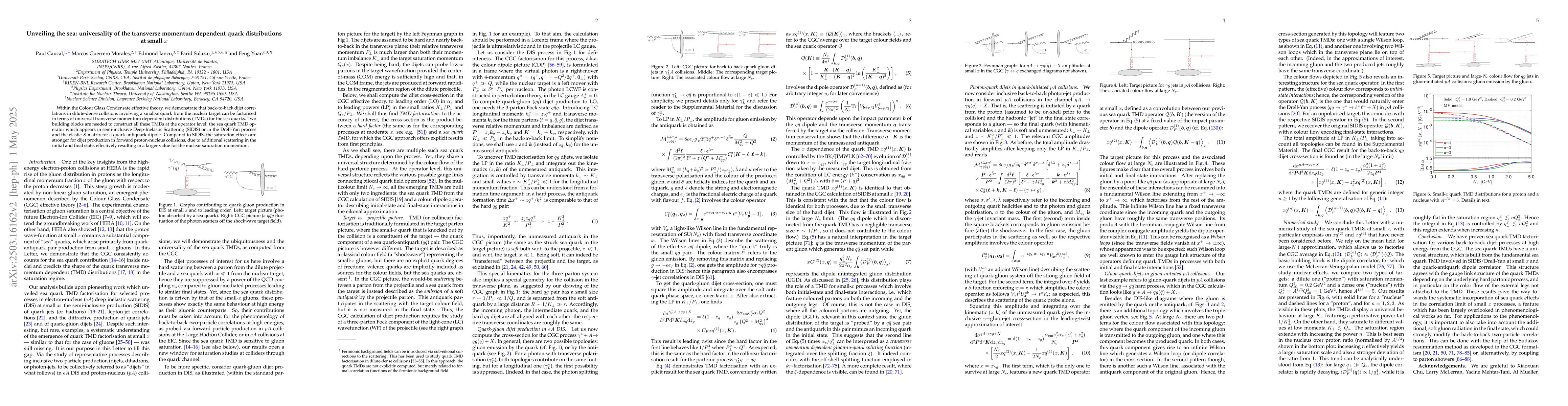 Thumbnail for Unveiling the sea: universality of the transverse momentum dependent
  quark distributions at small $x$