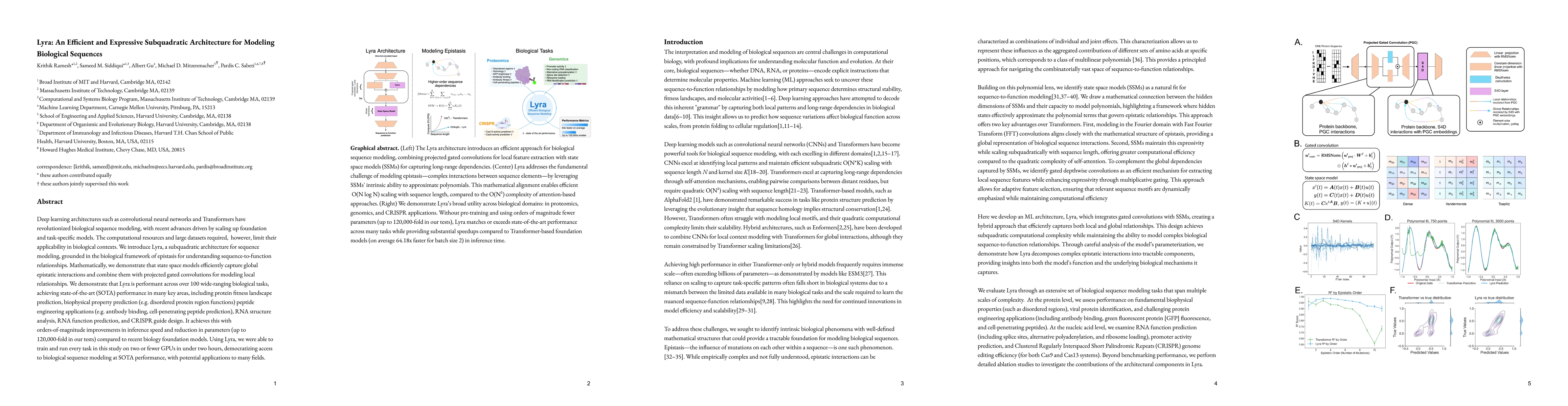 Thumbnail for Lyra: An Efficient and Expressive Subquadratic Architecture for Modeling
  Biological Sequences