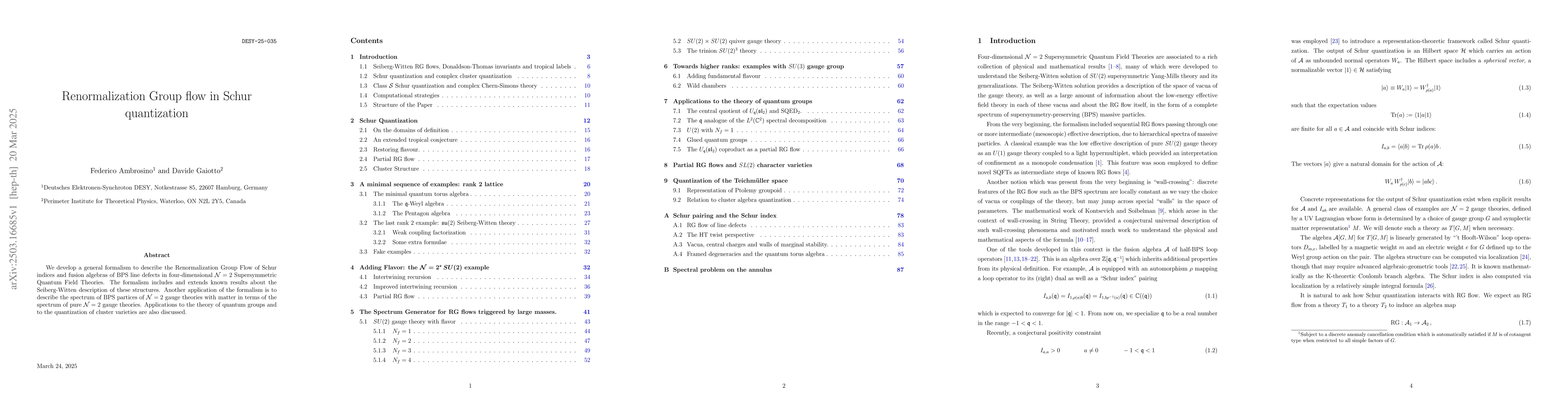 Thumbnail for Renormalization Group flow in Schur quantization