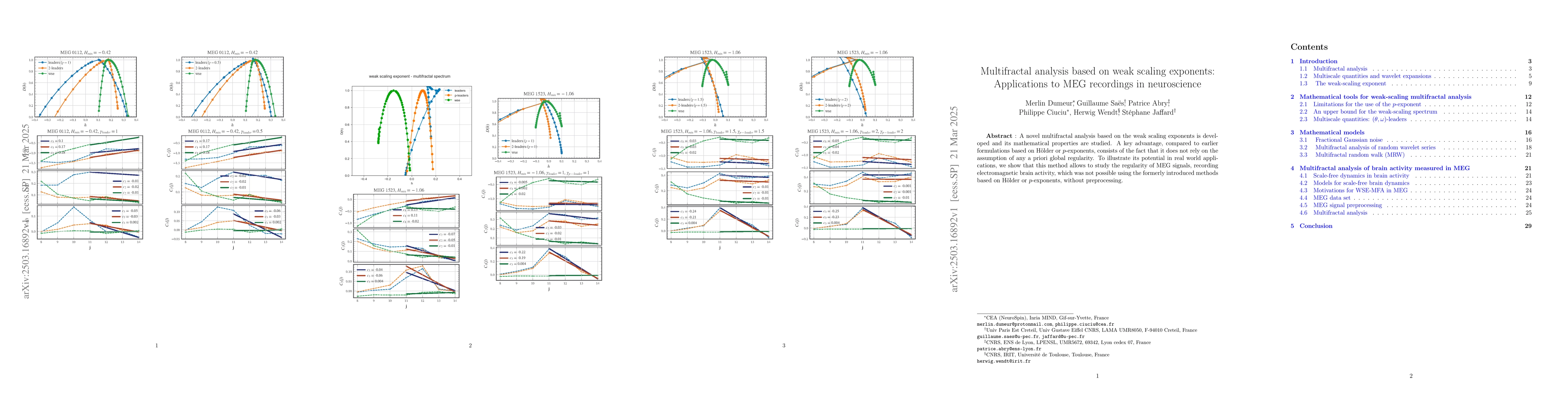 Thumbnail for Multifractal analysis based on the weak scaling exponent and
  applications to MEG recordings in neuroscience