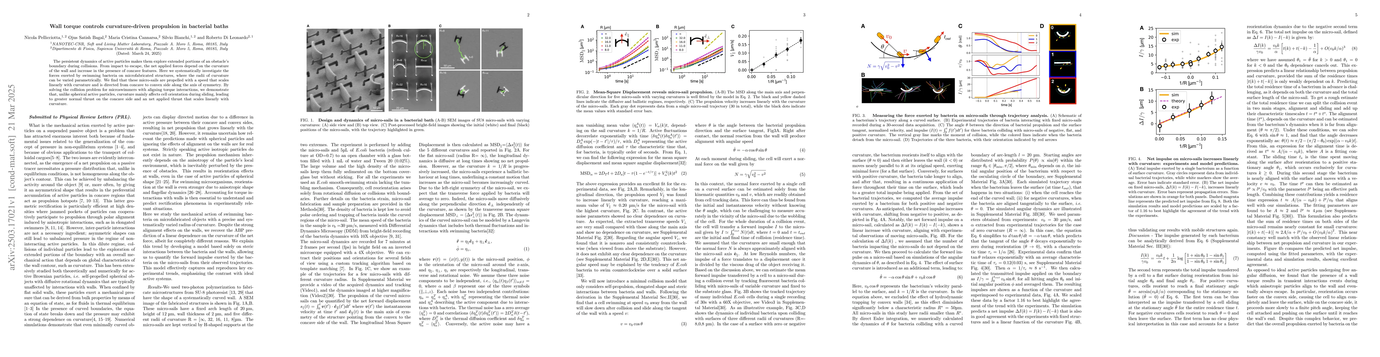 Thumbnail for Wall torque controls curvature-driven propulsion in bacterial baths