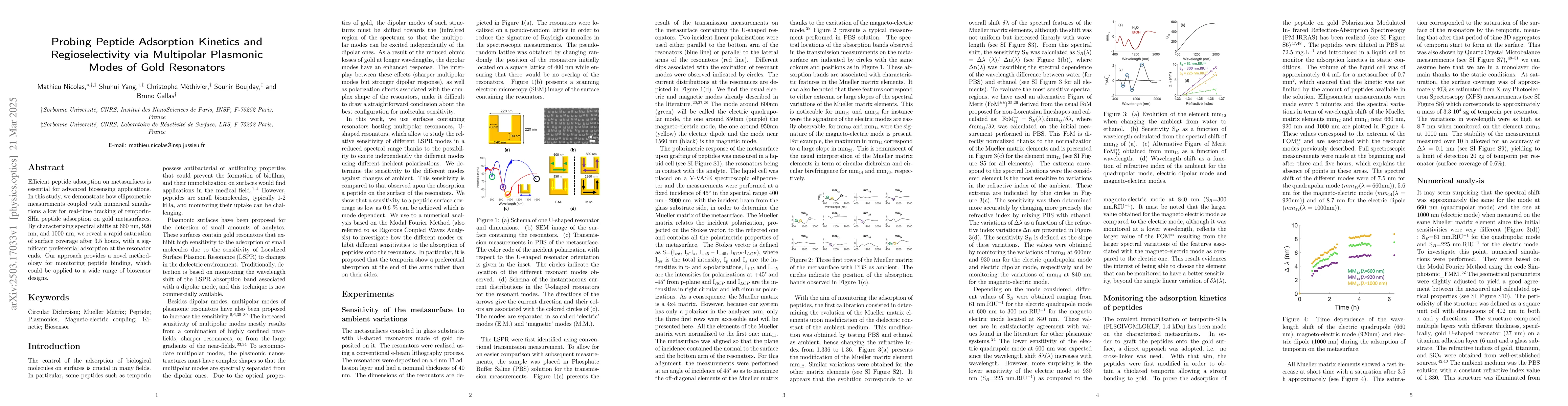 Thumbnail for Probing Peptide Adsorption Kinetics and Regioselectivity via Multipolar
  Plasmonic Modes of Gold Resonators