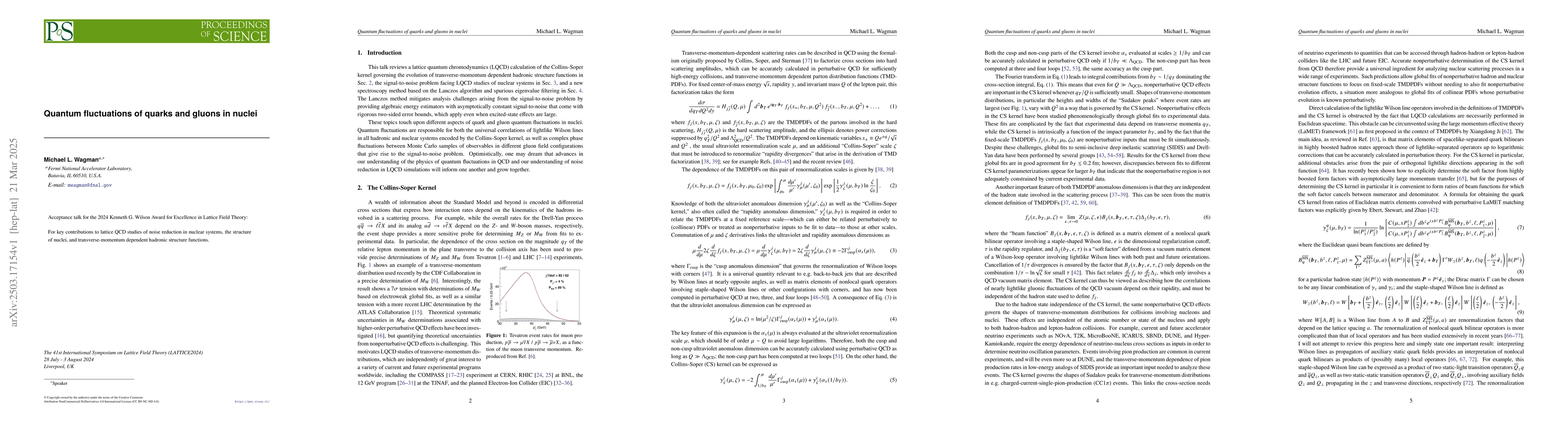 Thumbnail for Quantum fluctuations of quarks and gluons in nuclei