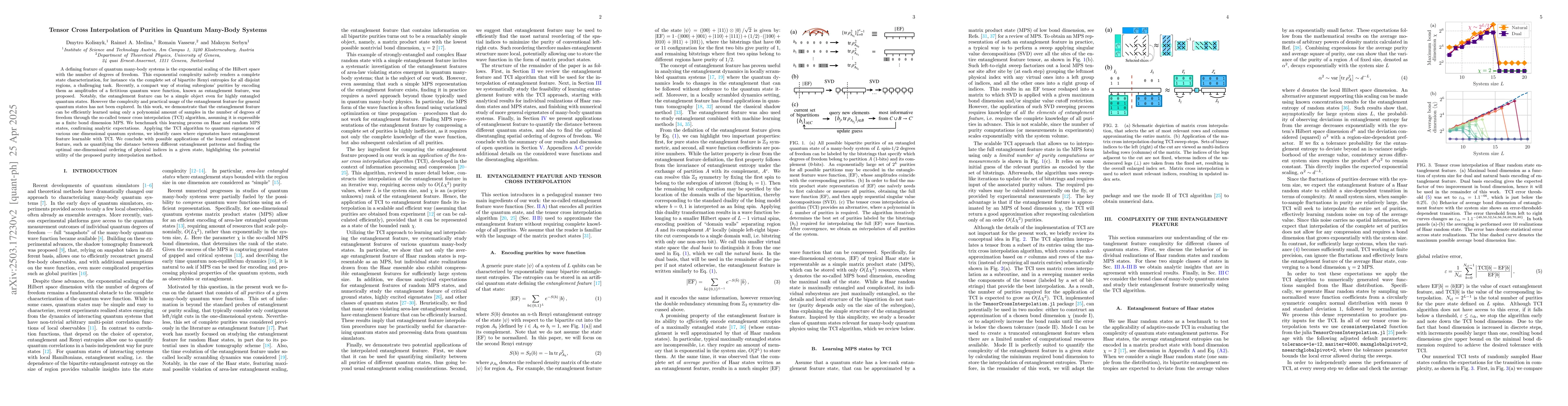 Thumbnail for Tensor Cross Interpolation of Purities in Quantum Many-Body Systems