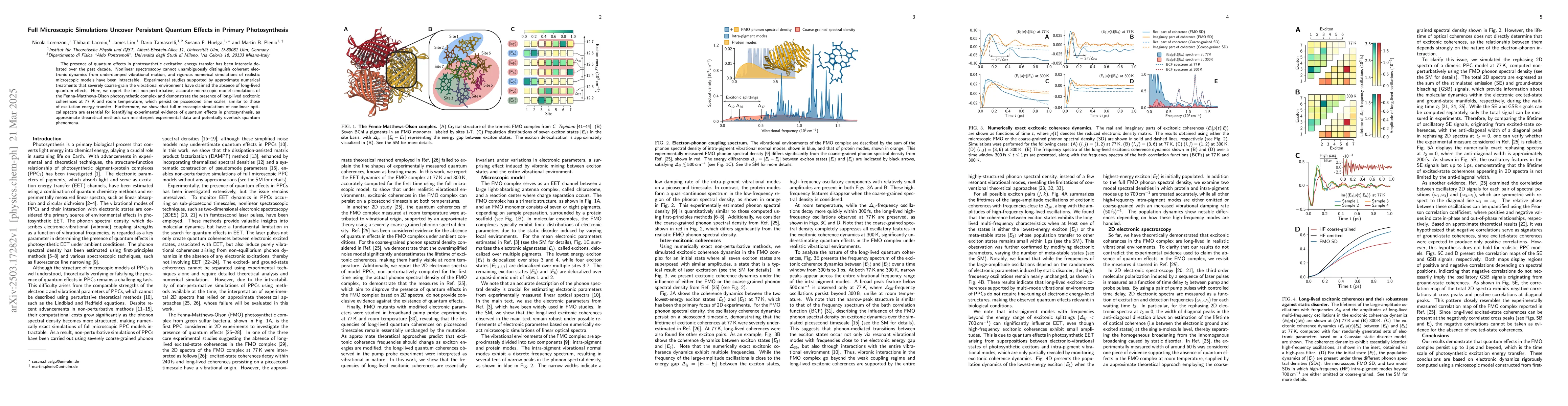 Thumbnail for Full Microscopic Simulations Uncover Persistent Quantum Effects in
  Primary Photosynthesis