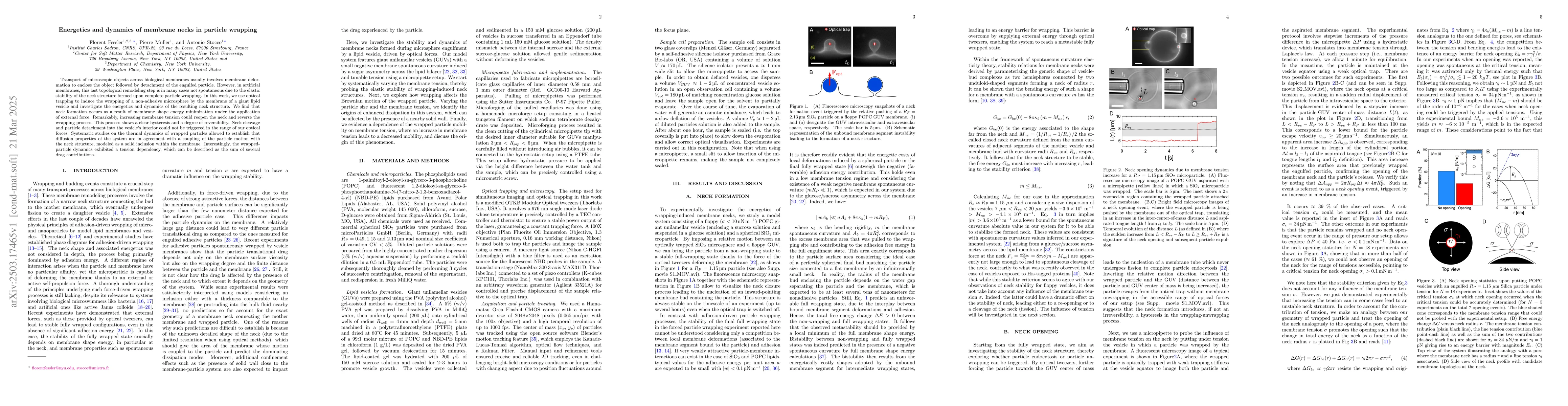 Thumbnail for Energetics and dynamics of membrane necks in particle wrapping
