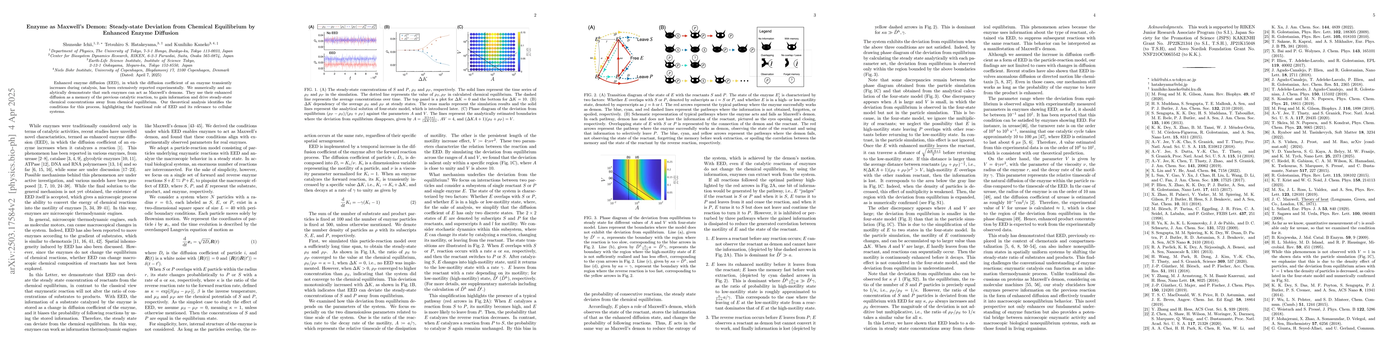 Thumbnail for Enzyme as Maxwell's Demon: Steady-state Deviation from Chemical
  Equilibrium by Enhanced Enzyme Diffusion