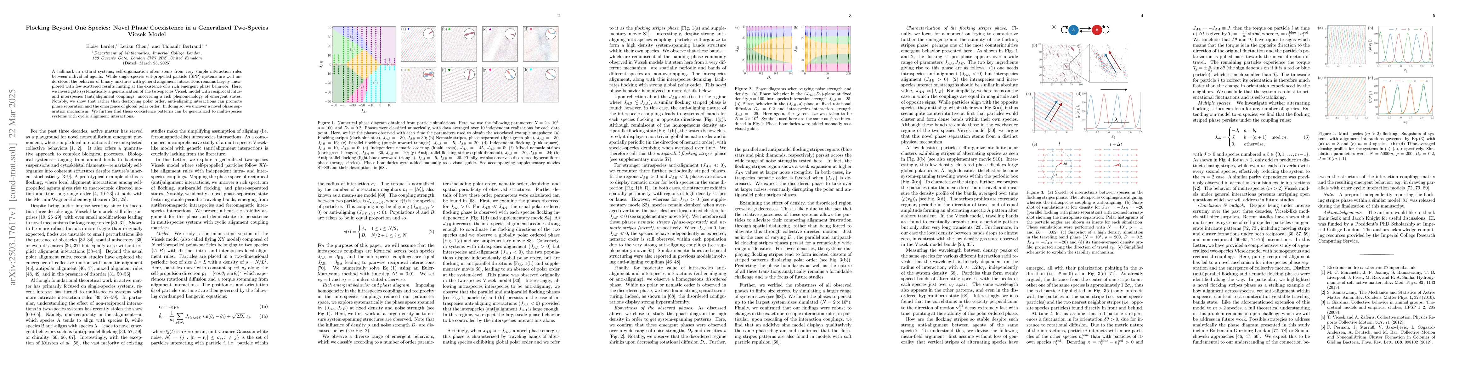 Thumbnail for Flocking Beyond One Species: Novel Phase Coexistence in a Generalized
  Two-Species Vicsek Model