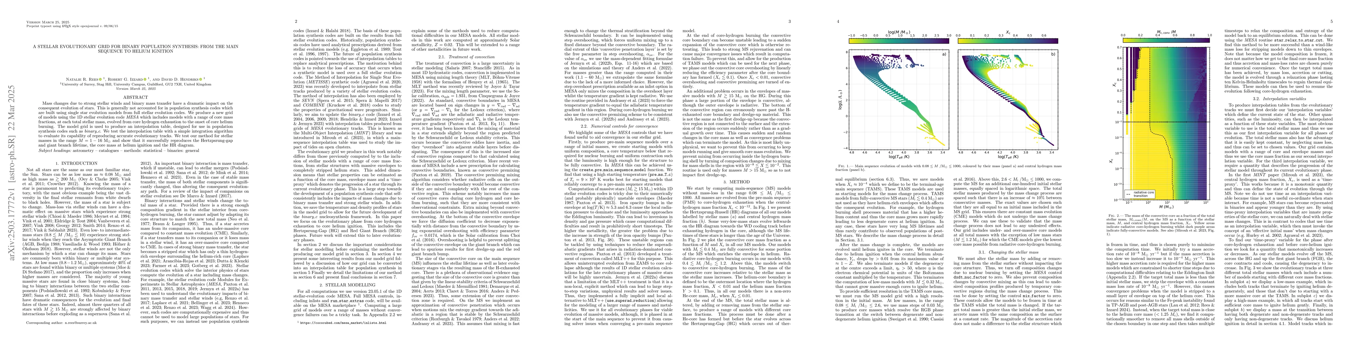 Thumbnail for A stellar evolutionary grid for binary population synthesis: from the
  main sequence to helium ignition