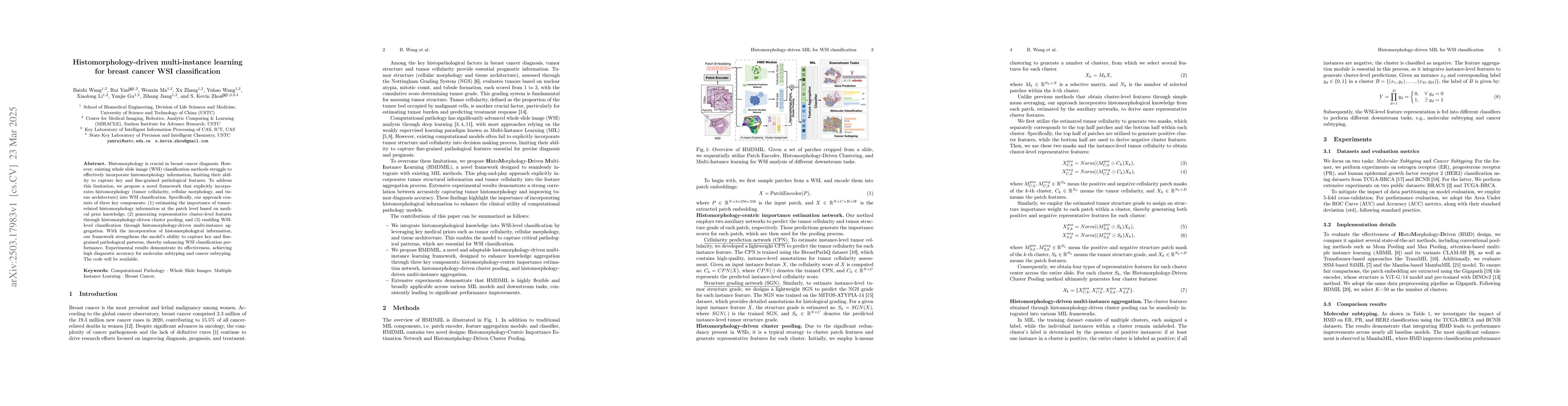 Thumbnail for Histomorphology-driven multi-instance learning for breast cancer WSI
  classification