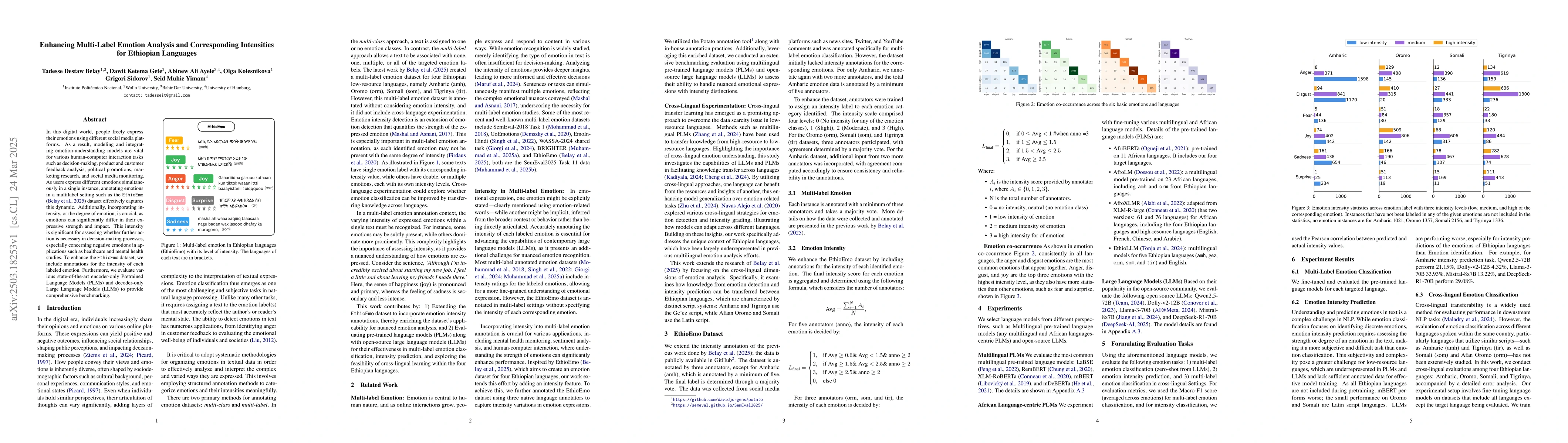 Thumbnail for Enhancing Multi-Label Emotion Analysis and Corresponding Intensities for
  Ethiopian Languages
