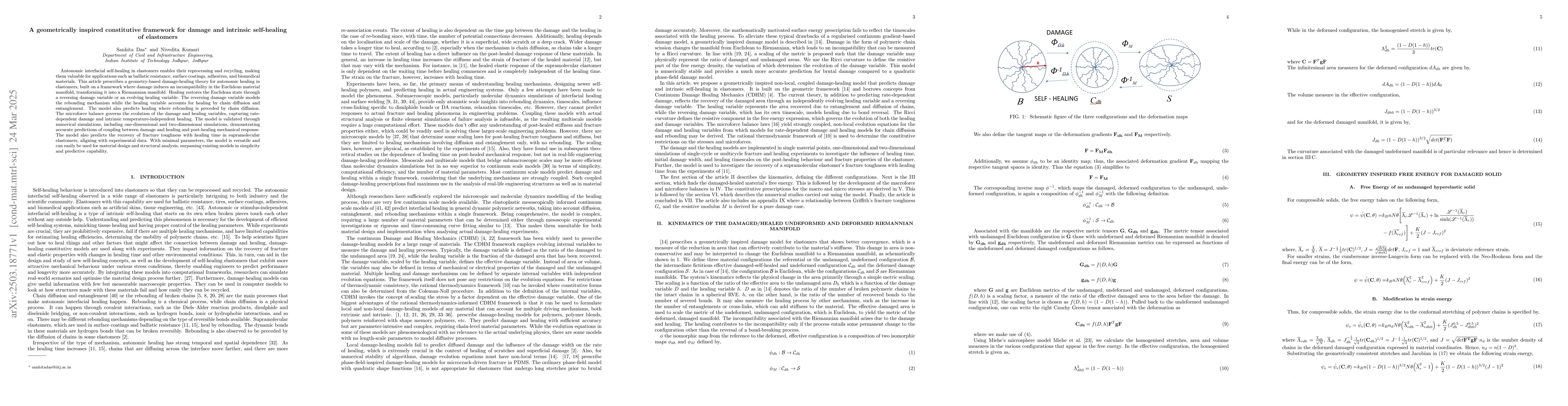Thumbnail for A geometrically inspired constitutive framework for damage and intrinsic
  self-healing of elastomers