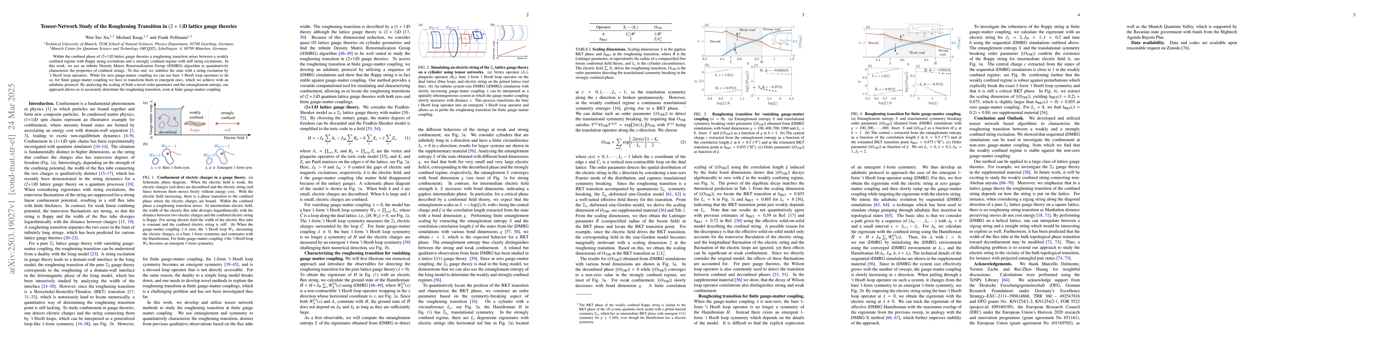 Thumbnail for Tensor-Network Study of the Roughening Transition in (2 + 1)D lattice
  gauge theories