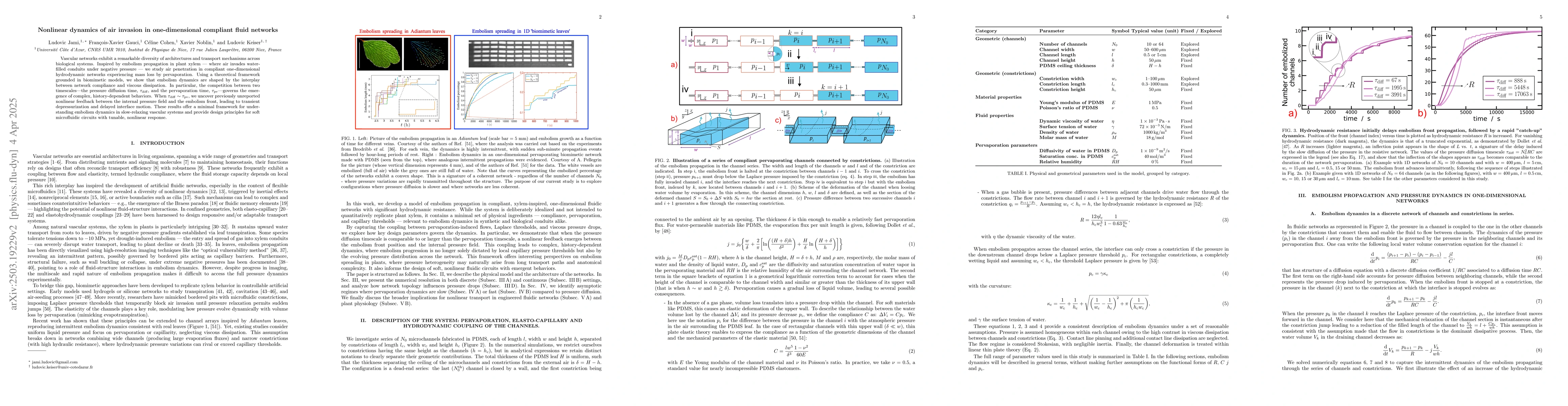 Thumbnail for Nonlinear dynamics of air invasion in one-dimensional compliant fluid
  networks