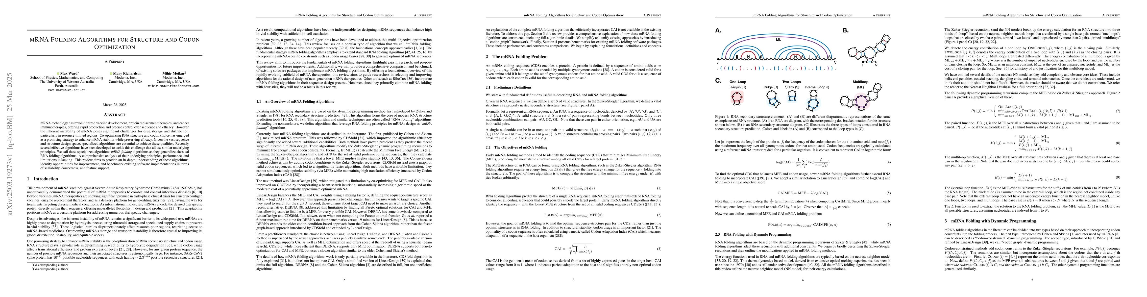 Thumbnail for mRNA Folding Algorithms for Structure and Codon Optimization
