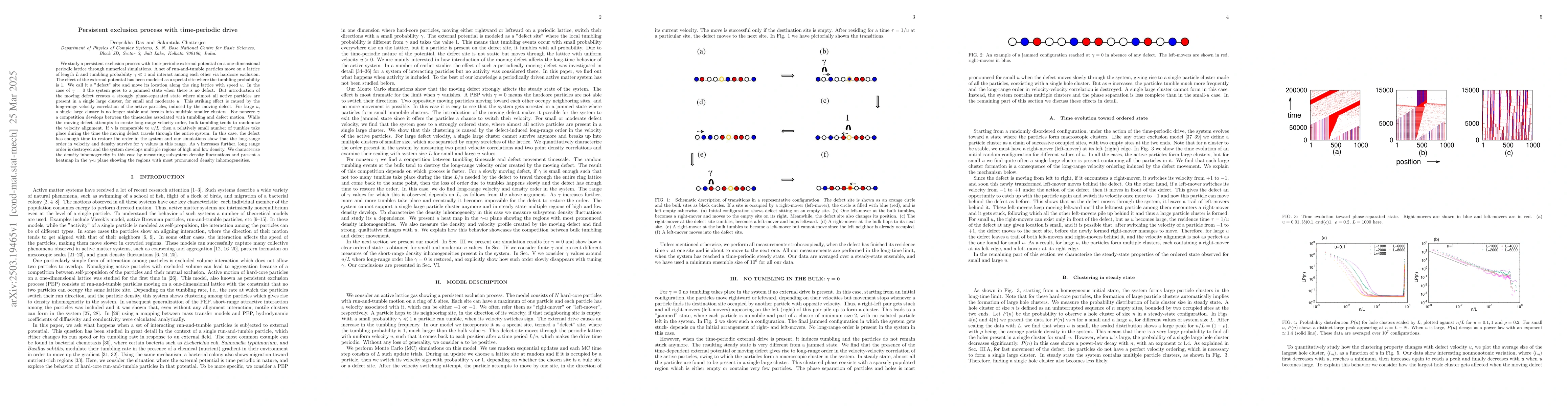 Thumbnail for Persistent exclusion process with time-periodic drive