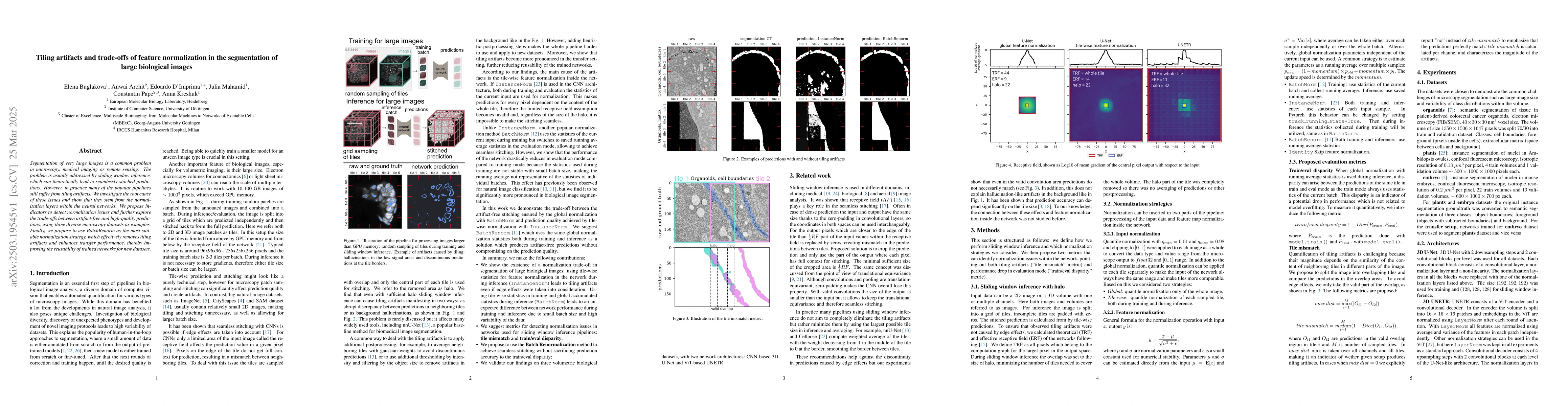 Thumbnail for Tiling artifacts and trade-offs of feature normalization in the
  segmentation of large biological images