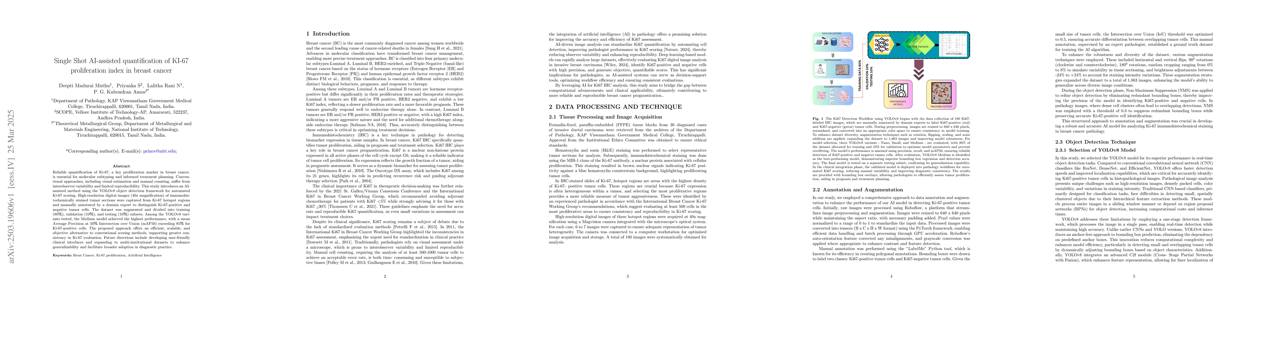 Thumbnail for Single Shot AI-assisted quantification of KI-67 proliferation index in
  breast cancer