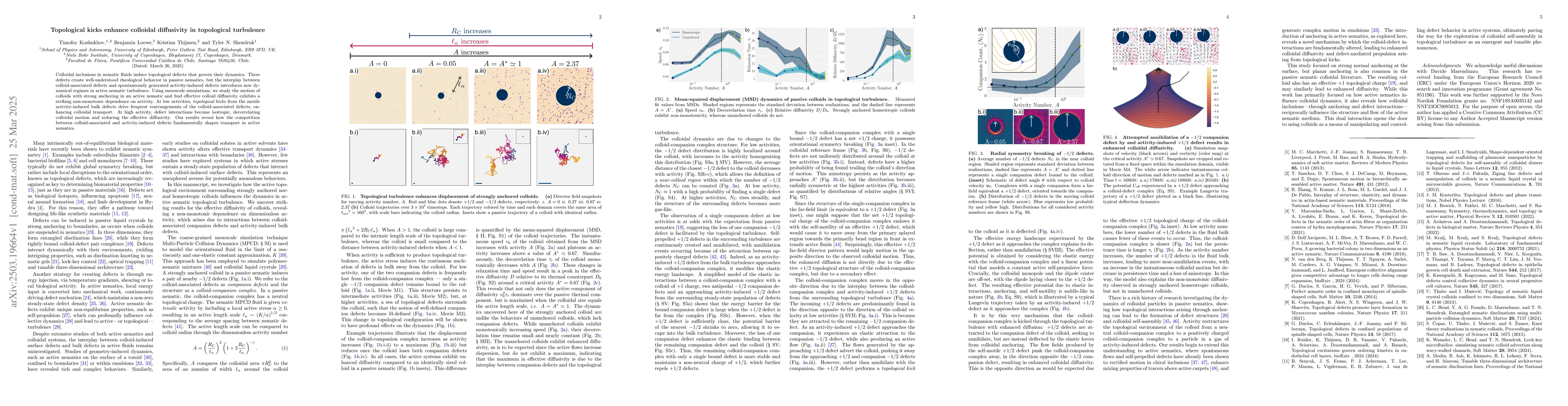 Thumbnail for Topological kicks enhance colloidal diffusivity in topological
  turbulence