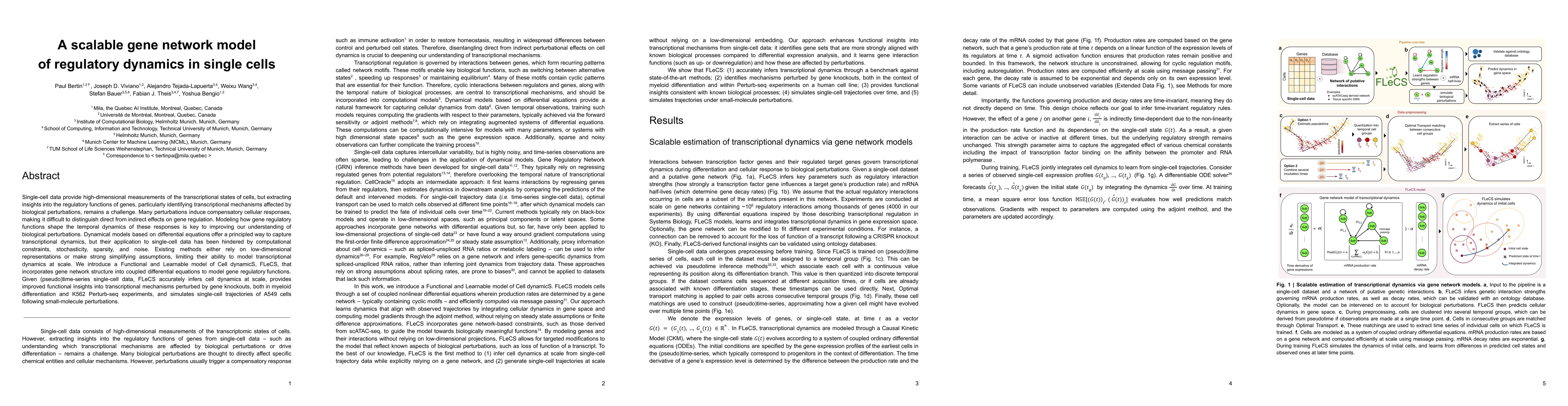 Thumbnail for A scalable gene network model of regulatory dynamics in single cells