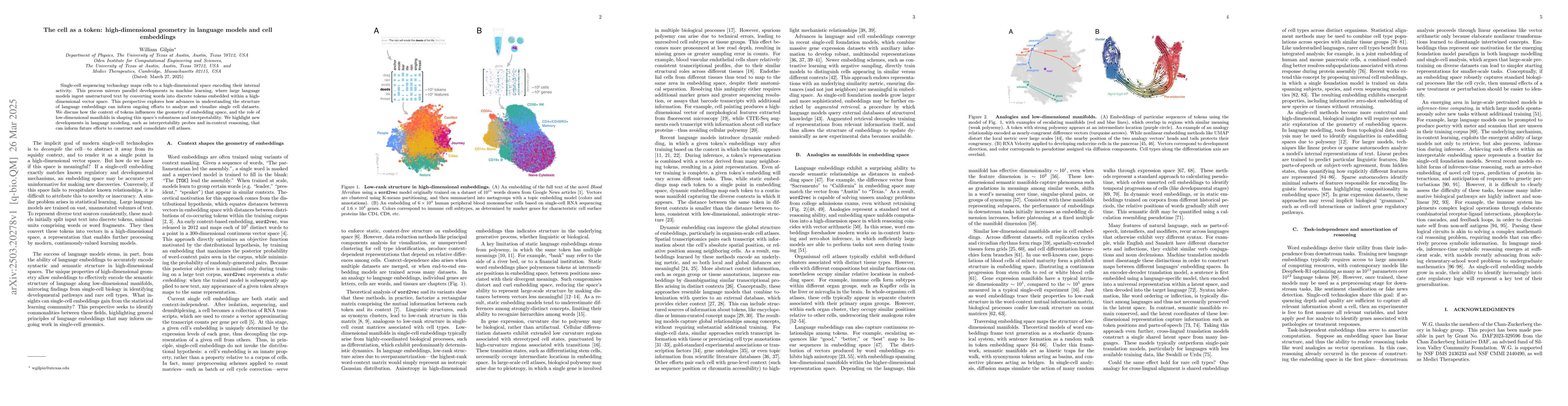 Thumbnail for The cell as a token: high-dimensional geometry in language models and
  cell embeddings